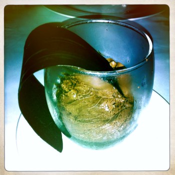 Rich Chocolate Mousse with Chocolate Crisp