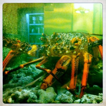 "I like to eat prawns"