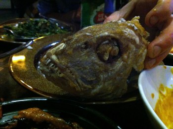 Mr Barra is that you?