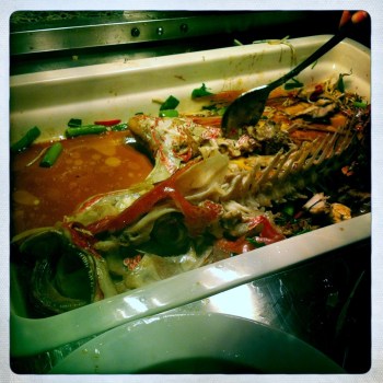 Asian Inspired Saddletail Snapper