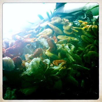 Prawns, Crab and Oysters oh my!