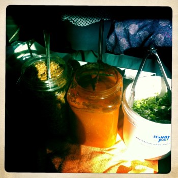 Fried Onion, Sambal Chilli Paste and Fresh Coriander