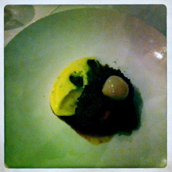 Daube da Boeuf - 9hr Red Wine Braised Ox Cheek, Caramelised Onions, Smoked Bacon, Paris Mash and Bordelaise Sauce