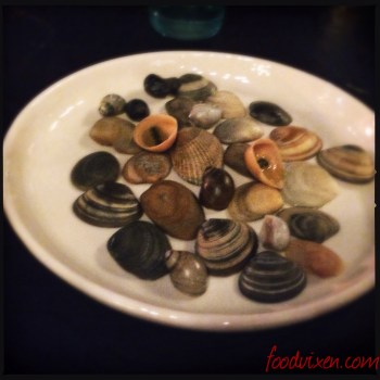 White Chocolate Shells (the two lighter shells in the middle that look like the real shells around them)