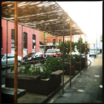 Herb and Veggie garden outside Bread In Common