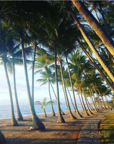 43490679_2037656183193172_8948814860888571904_n